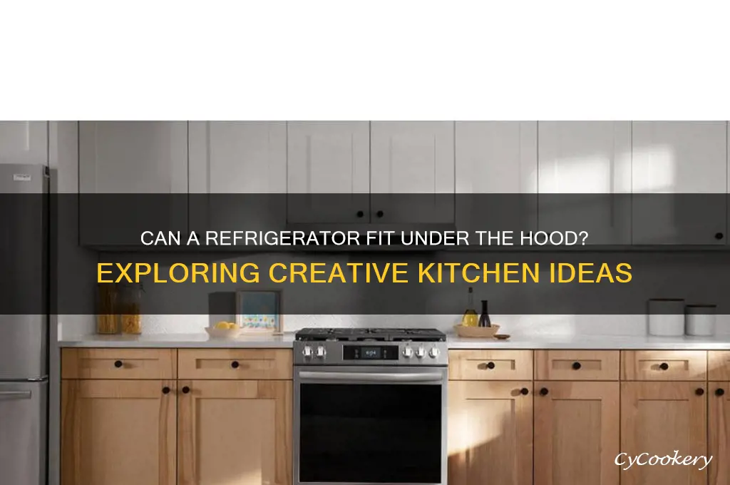 can we put a refrigerator under the hood