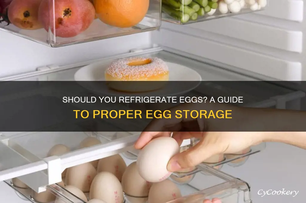 can we put eggs in refrigerator