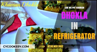 Storing Khaman Dhokla: Refrigerator Tips for Freshness and Flavor