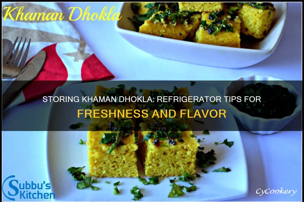 can we put khaman dhokla in refrigerator