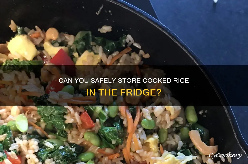 can we put rice in refrigerator