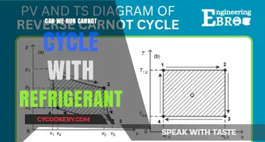 Exploring Carnot Cycle Efficiency with Refrigerants: Feasibility and Applications
