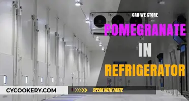 Storing Pomegranates: Refrigerator Tips for Freshness and Longevity