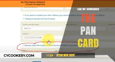 Surrendering PAN Card: What, Why, and How?