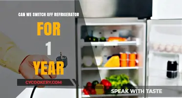 Switching Off Your Fridge for a Year: Risks and Realities