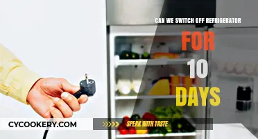 Switching Off Your Fridge for 10 Days: Risks and Rewards