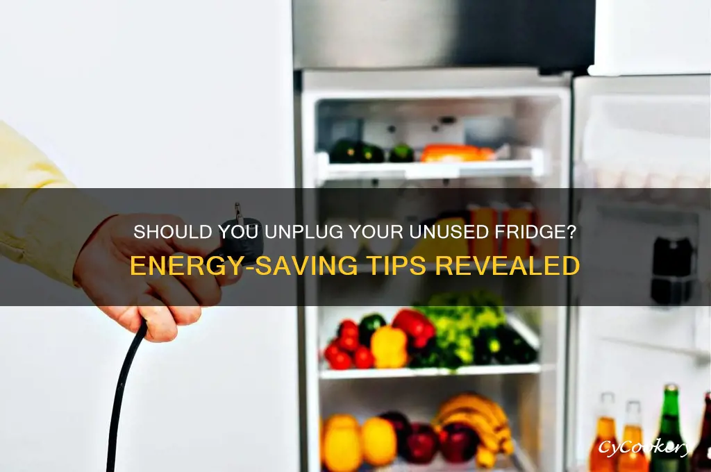 can we switch off refrigerator not use