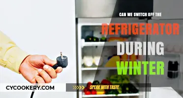 Winter Energy Savings: Should You Unplug Your Fridge?