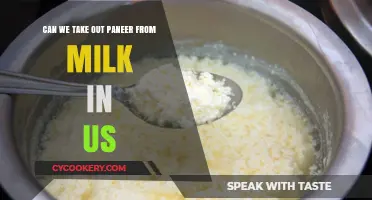 How to Make Homemade Paneer in the US