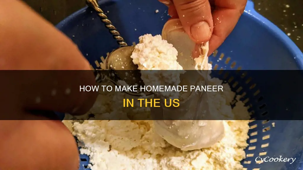 can we take out paneer from milk in us