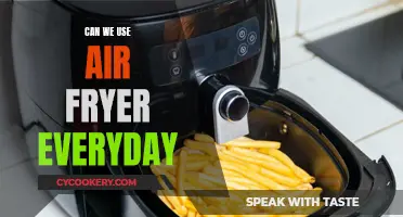 Air Fryer Everyday Use: Is It Safe?