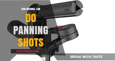 Weebill Lab's Panning Shots: Smooth and Controlled