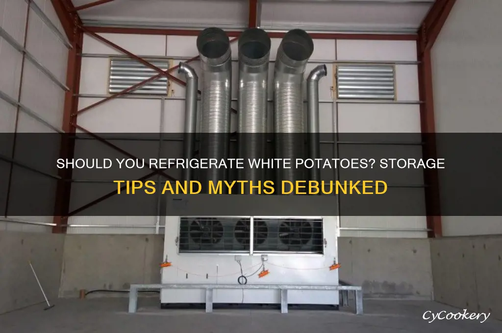 can white potatoes be stored in the refrigerator