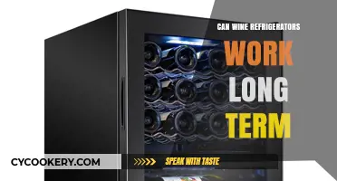 Do Wine Fridges Last? Long-Term Reliability and Maintenance Tips