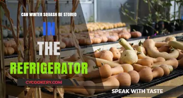 Storing Winter Squash: Refrigerator Tips for Freshness and Longevity
