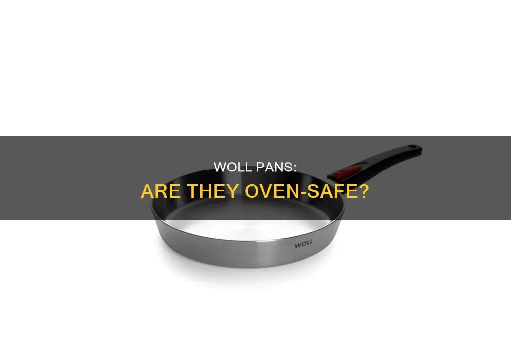 can woll pans go in the oven