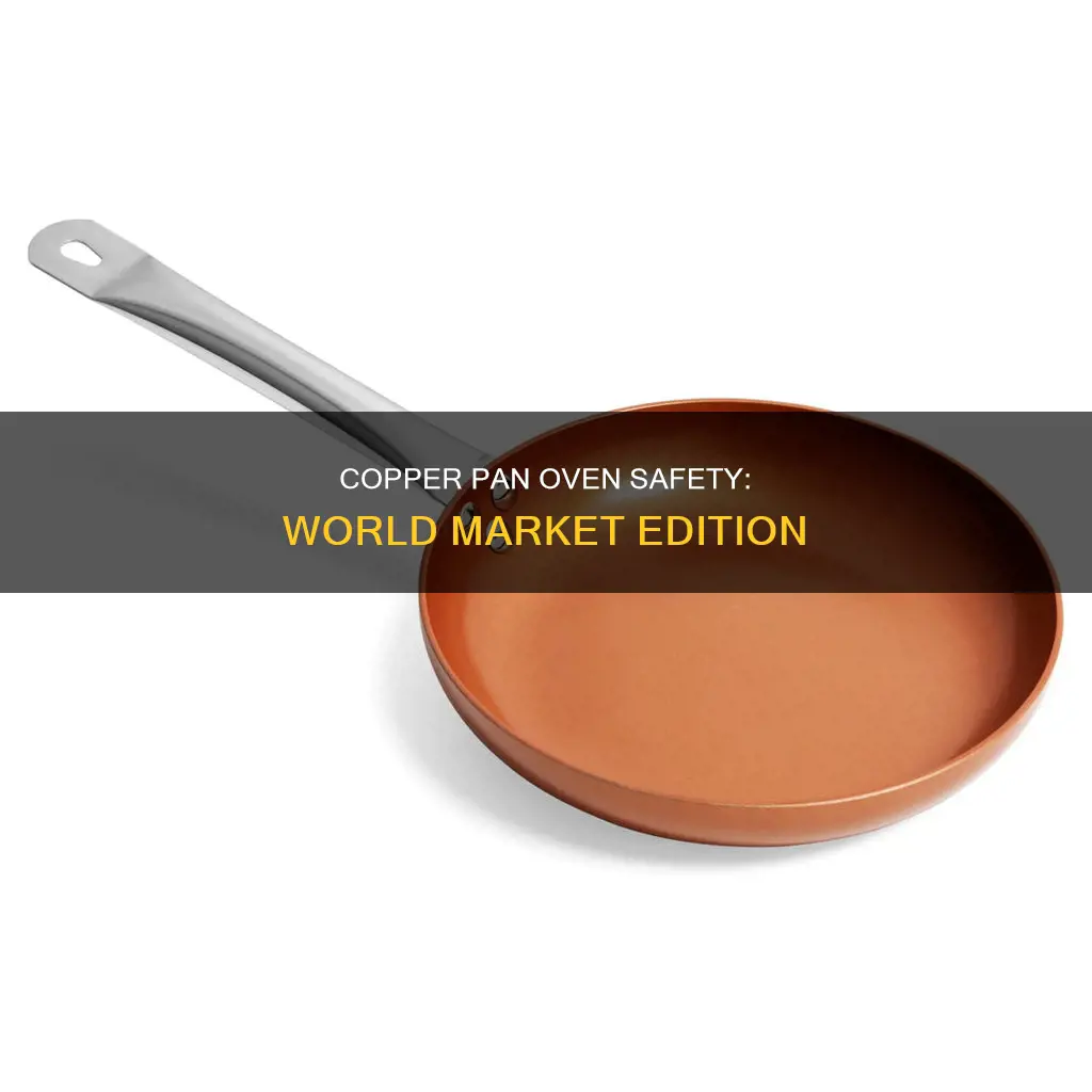 can world market copper pans be used in the oven