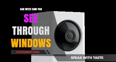 Wyze Cam Pan: Can It See Through Windows?