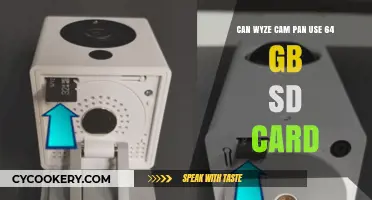 Wyze Cam Pan: Can It Handle 64GB SD Cards?