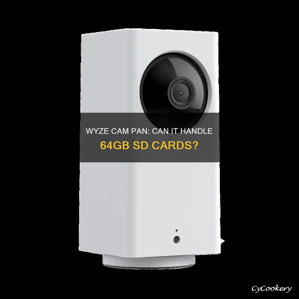 can wyze cam pan use 64 gb sd card