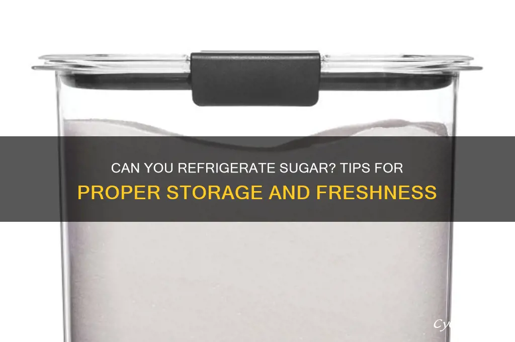 can y refrigerator sugar