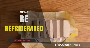Refrigerating Yeast: Best Practices for Storage and Freshness