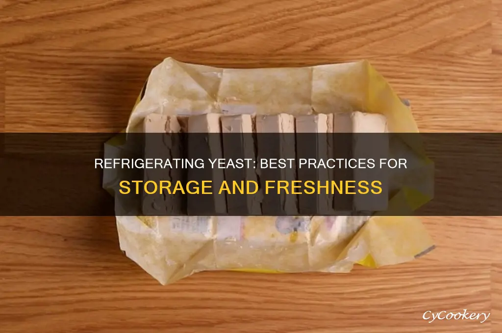 can yeast be refrigerated