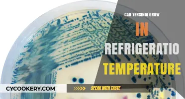 Can Yersinia Survive and Grow in Refrigeration Temperatures?