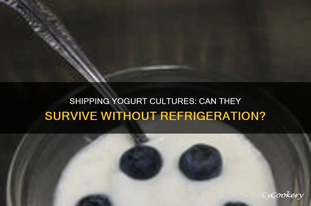 can yoghurt culture be shipped without refrigeration