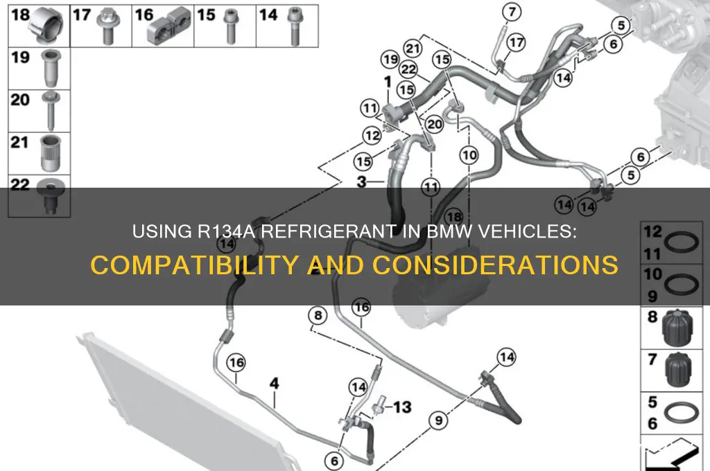 can yoj use r134a refrigerant for bmw