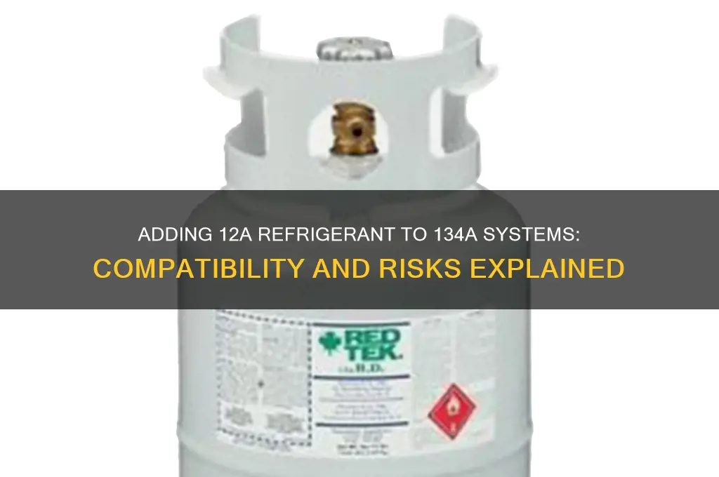 can you add 12a refrigerant to 134a