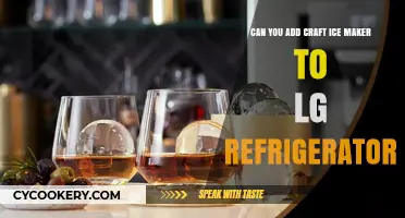 Adding a Craft Ice Maker to Your LG Fridge: Is It Possible?