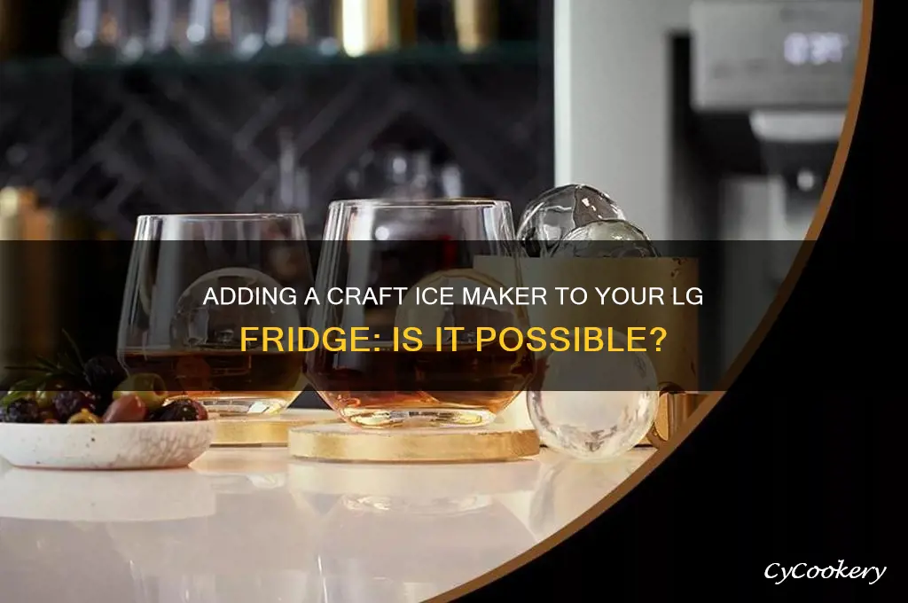 can you add craft ice maker to lg refrigerator