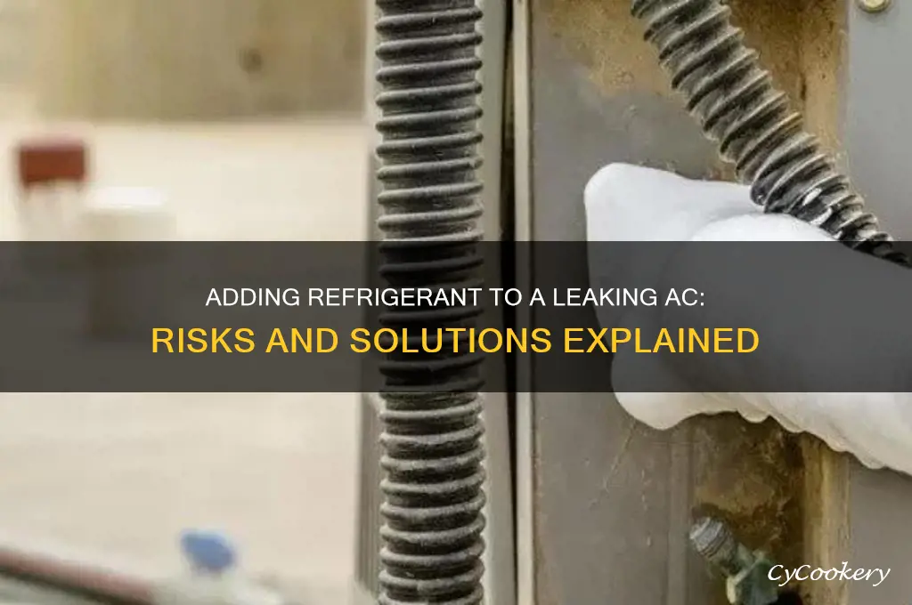 can you add refrigerant if air conditioner has leak