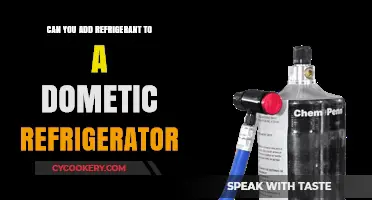 Adding Refrigerant to Dometic Fridges: Safe DIY or Professional Job?