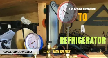 Adding Refrigerant to Your Fridge: Safe DIY or Professional Task?