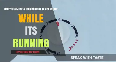Adjusting Your Refrigerator Temperature While Running: What You Need to Know