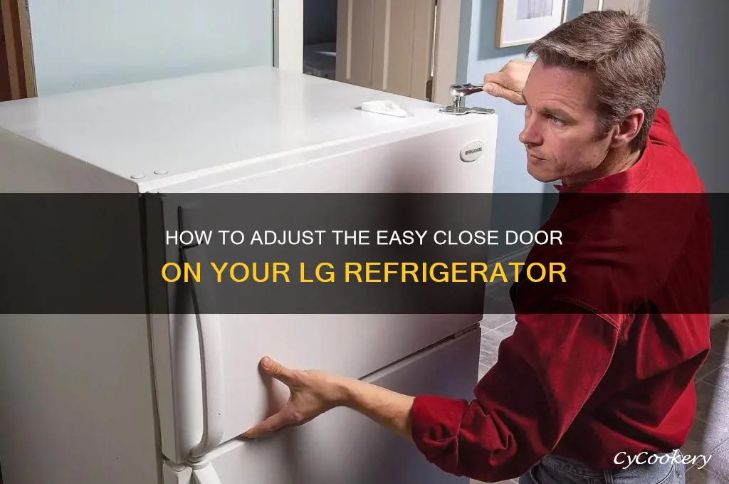 can you adjust the easy close door on lg refrigerator