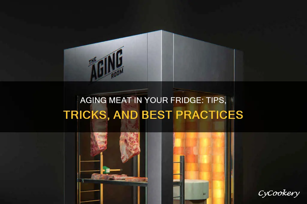 can you age meat in a refrigerator