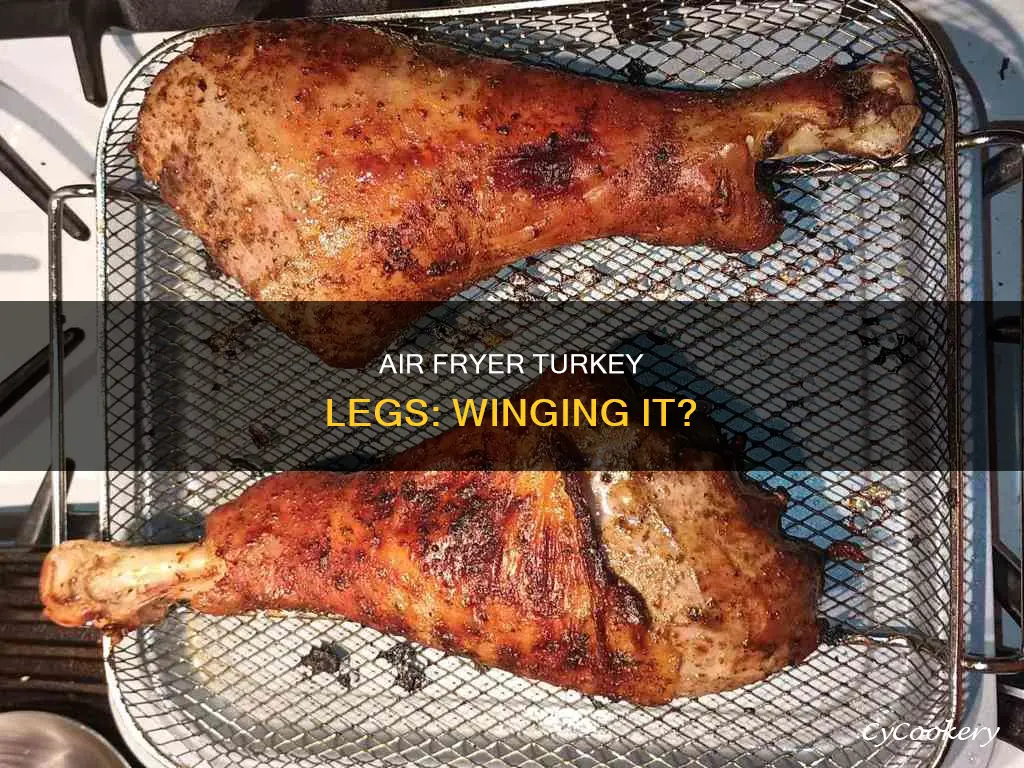 can you air fryer a turkey leg like a wing