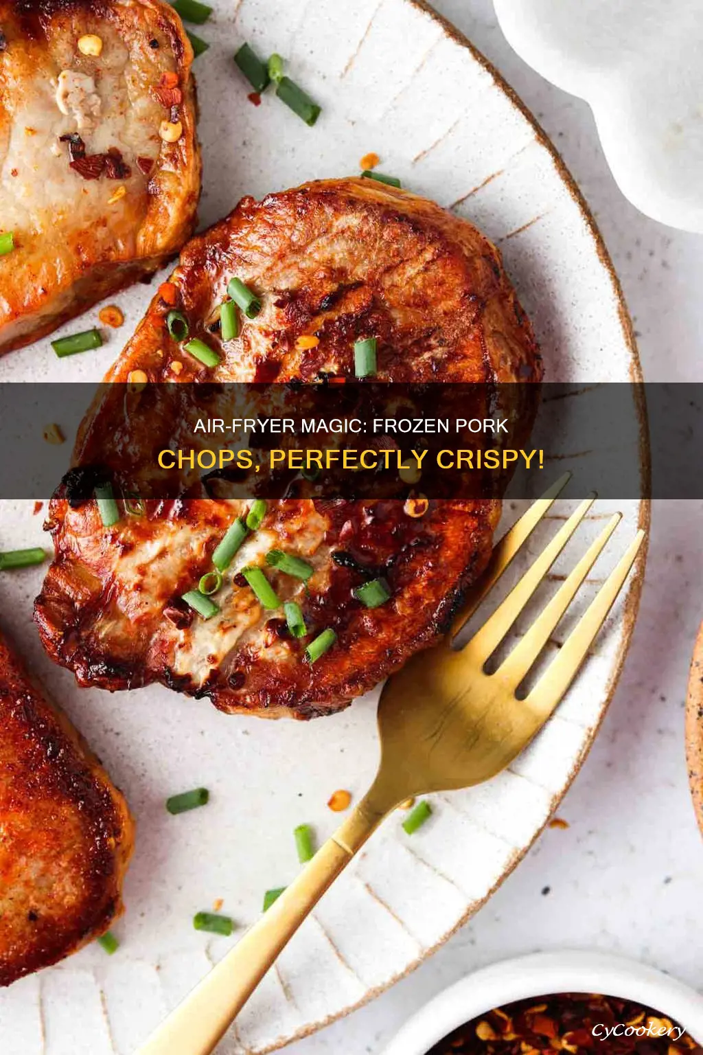 can you air fryer frozen pork chops