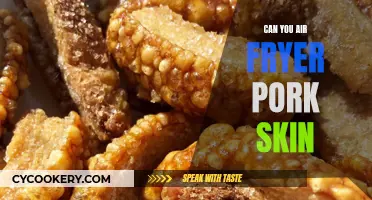 Air Fryer Pork Skin: Is It Possible?