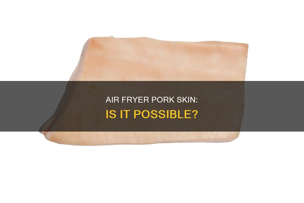 can you air fryer pork skin