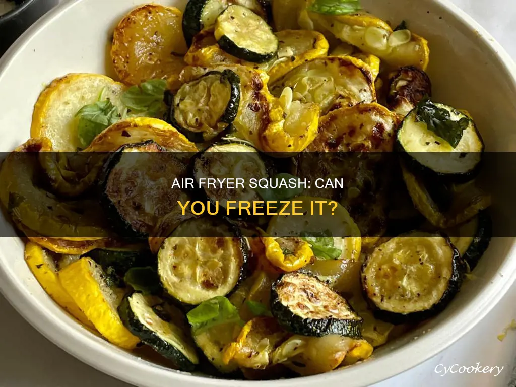 can you air fryer squash to freeze