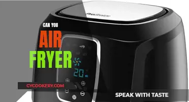 Air Fryer Revolution: Can You Air Fry?