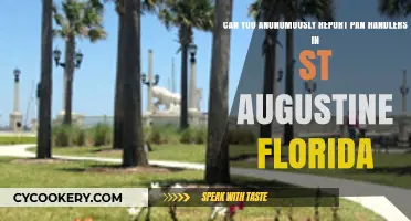 Reporting Panhandlers in St. Augustine: Anonymously and Effectively