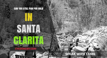 Panning for Gold: Is Santa Clarita a Hotspot?