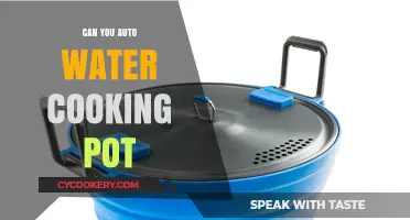 Smart Pots: Auto-Watering for Perfect Cooking