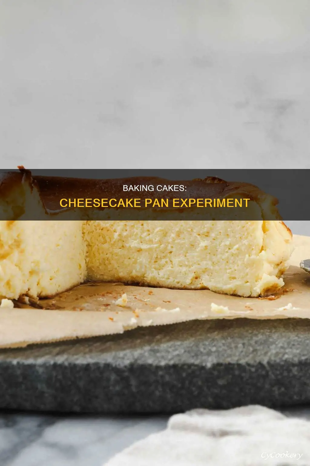 can you bake a cake in a cheesecake pan