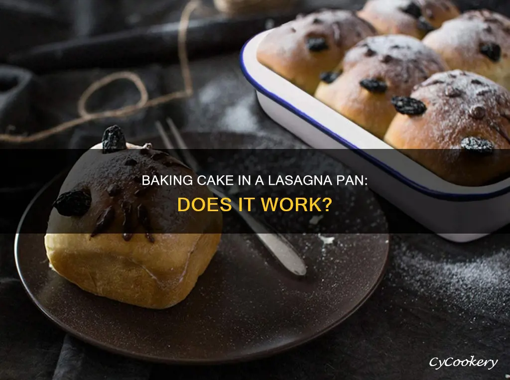 can you bake a cake in a lasagna pan
